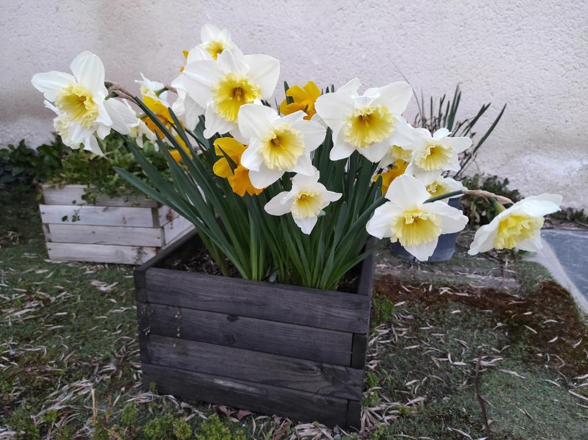 Casa Rural La Cija Del Abuelo A 1 Hora De Madrid เซโกเวีย ภายนอก รูปภาพ